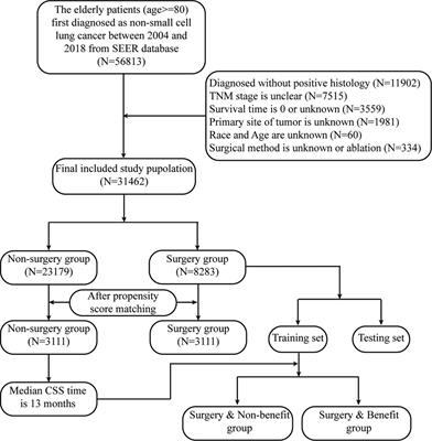 Identifying octogenarians with non-small cell lung cancer who could benefit from surgery: A population-based predictive model